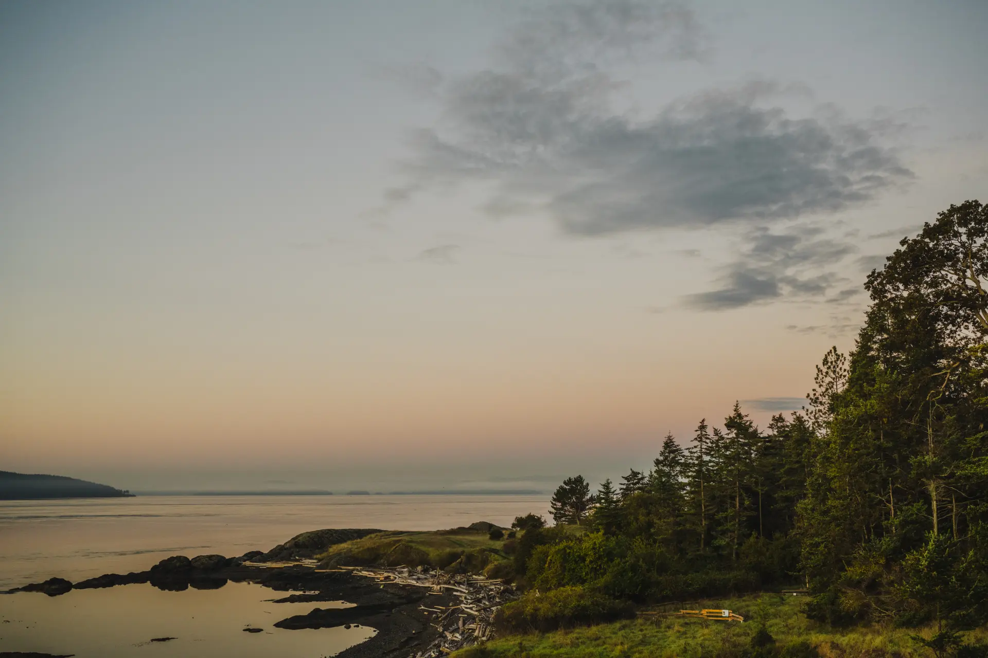 A quiet shoreline, coastal trees and open water on Pender Island